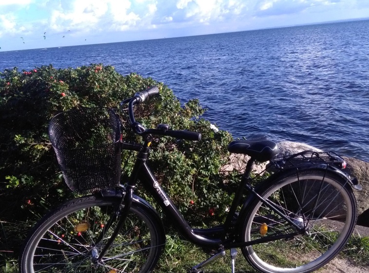 Władysławowo Wypożyczalnia rowerów Ottobike  