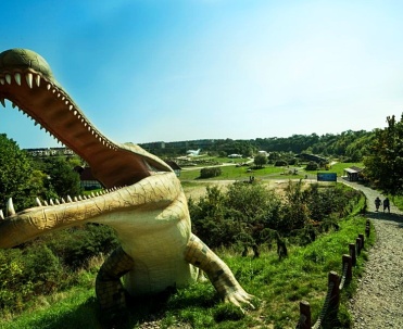 Ocean Park przy ulicy Żwirowej.
