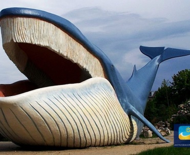 Ocean Park przy ulicy Żwirowej.